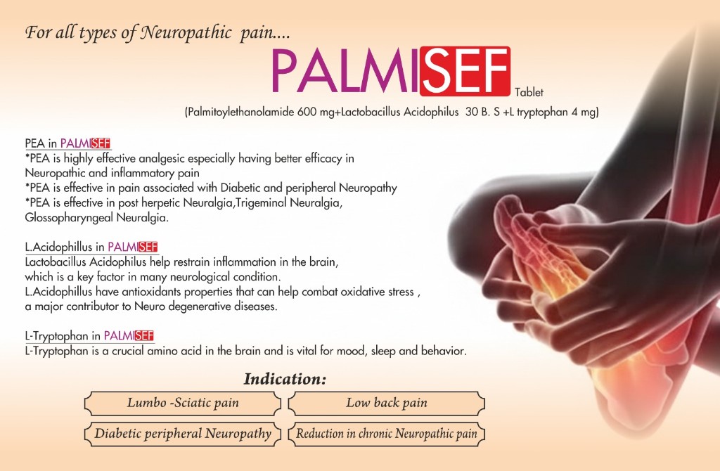 PALMISEF catalogue page