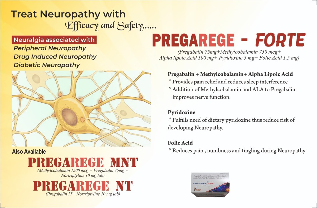 PREGAREGE-NT catalogue page