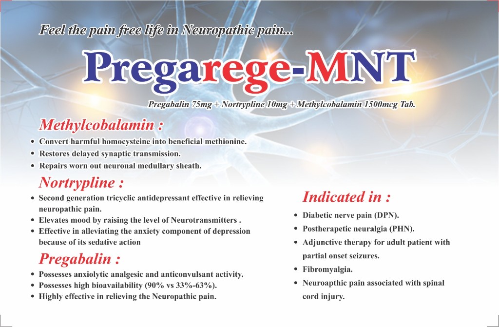 PREGAREGE-MNT catalogue page